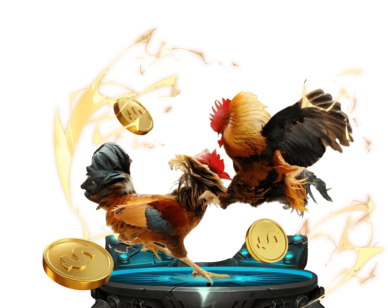 Ưu đãi hoàn trả cao hơn cho VIP bmwbet